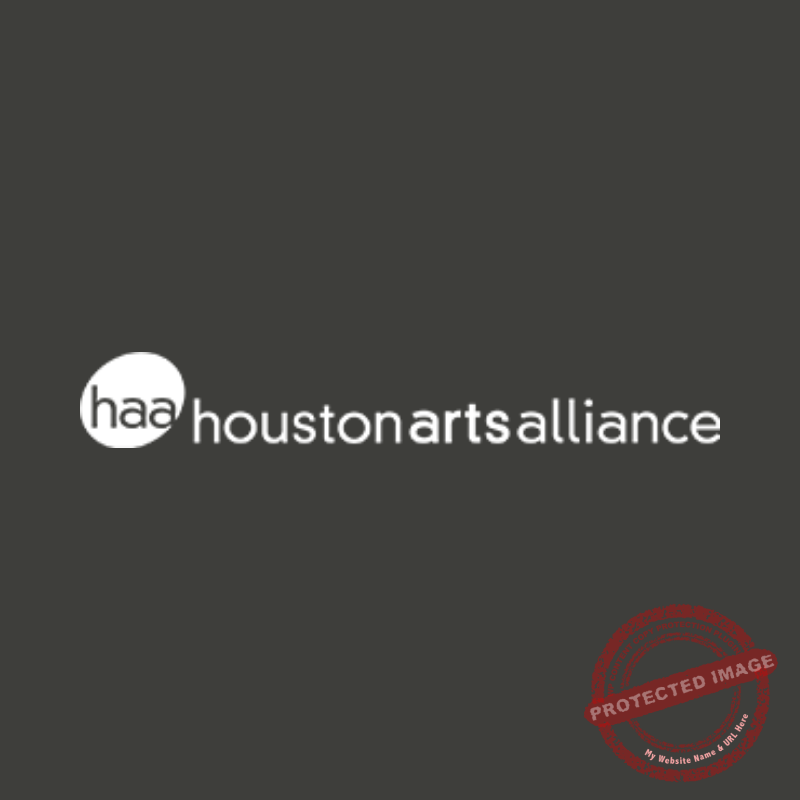 Houston Arts Alliance 2018 Artist Roster Fariba Abedin (Houston, TX)